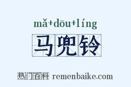马兜铃是什么意思的图片